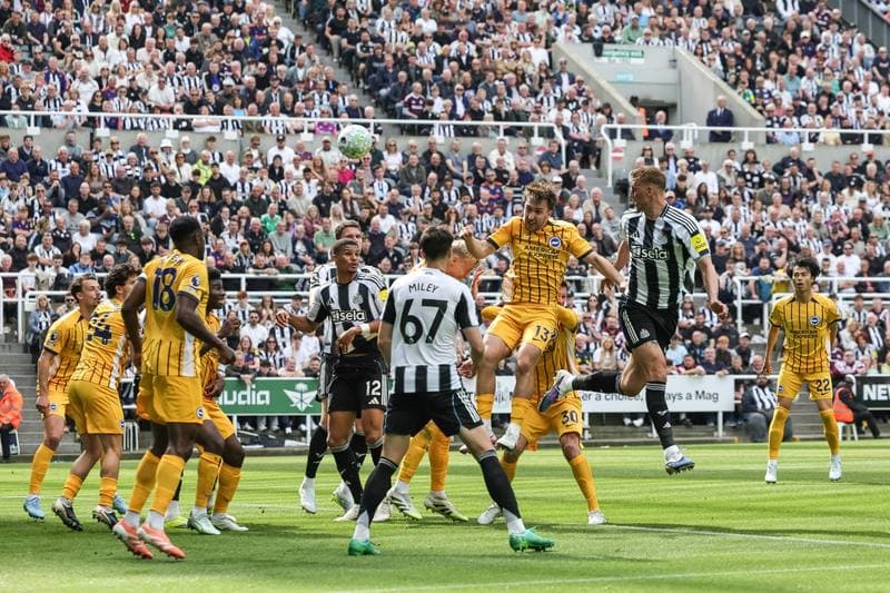 Football. Premier League. Newcastle United - Brighton & Hove Albion. 02.05.2026