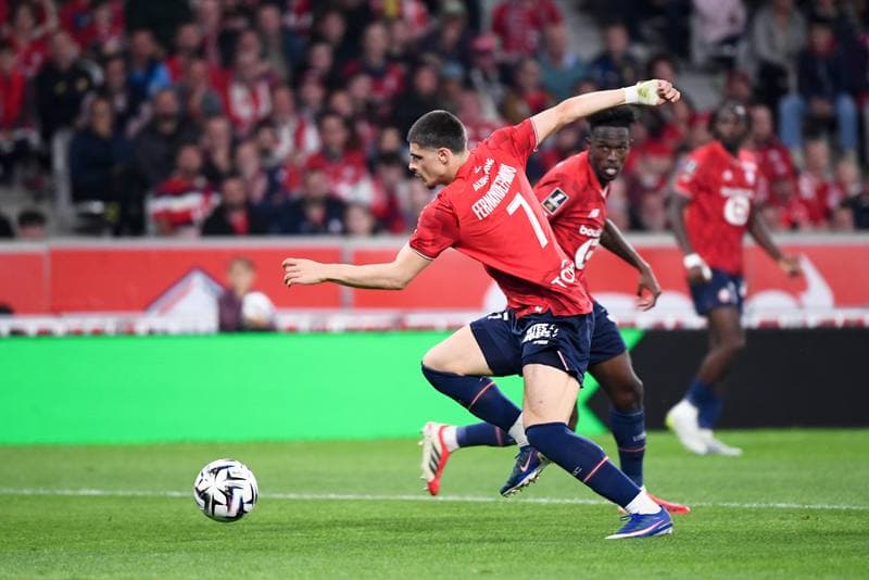 Football. Ligue 1. Lille OSC - Le Havre AC. 03.05.2026