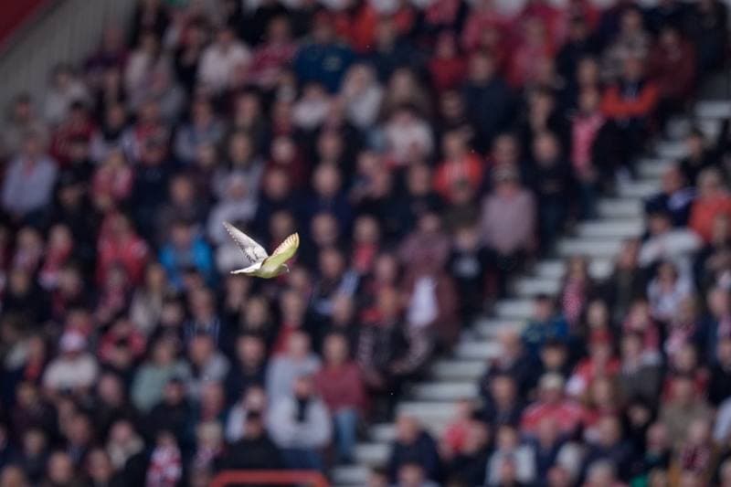 Football. Premier League. Nottingham Forest - Newcastle United. 10.05.2026