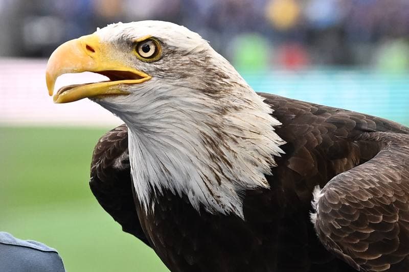 Football. Serie A. SS Lazio - FC Internazionale. 16.03.2026