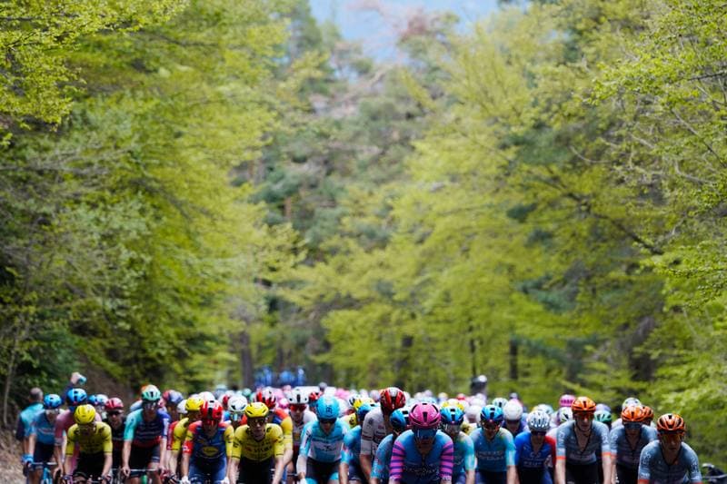 Cycling. Giro d'Italia 2026. 11.05.2026