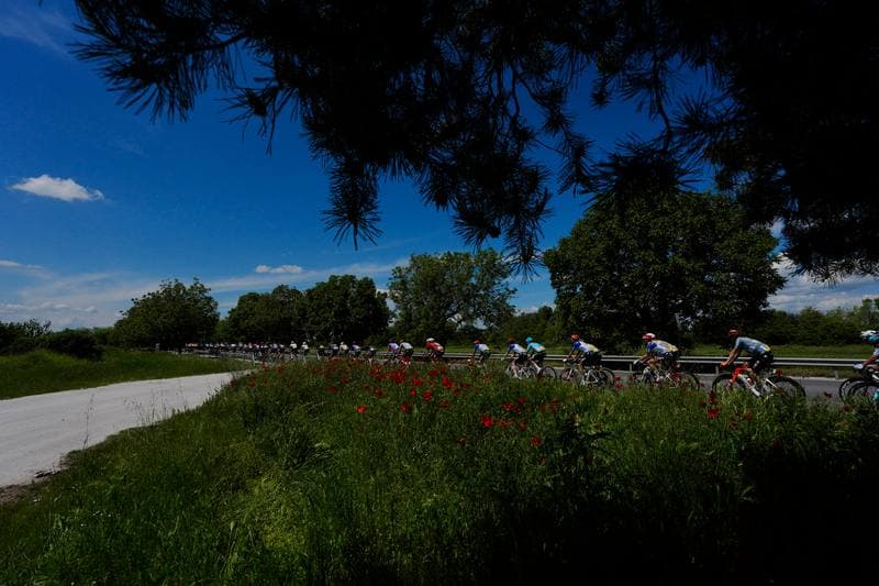 Cycling. Giro d'Italia 2026. 11.05.2026