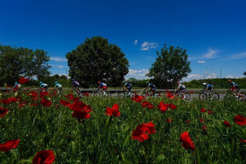 Cycling. Giro d'Italia 2026. 11.05.2026