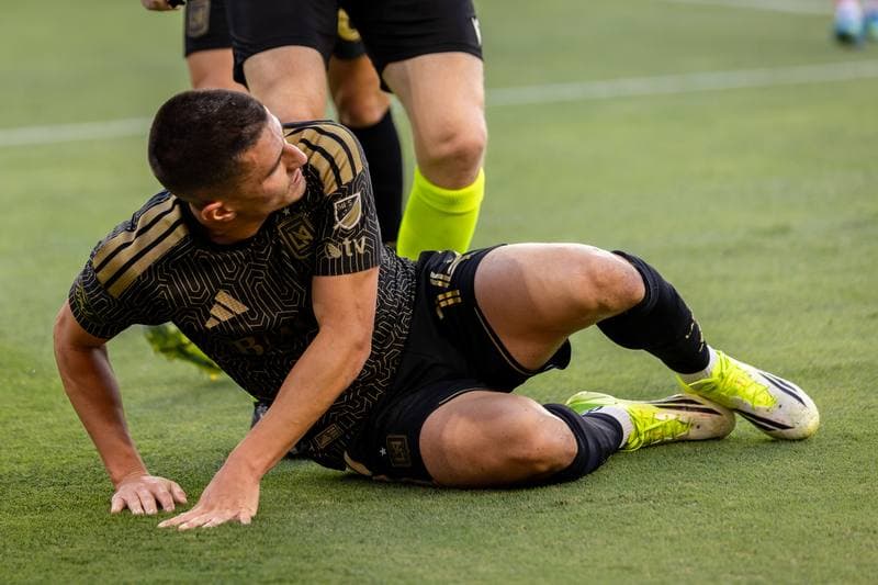 Football. Major League Soccer. Los Angeles FC - Houston Dynamo. 10.05.2026