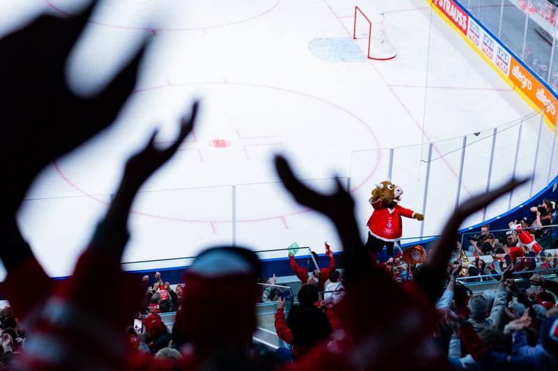Ice Hockey. IIHF Ice Hockey World Championship. United States - Switzerland. 15.05.2026