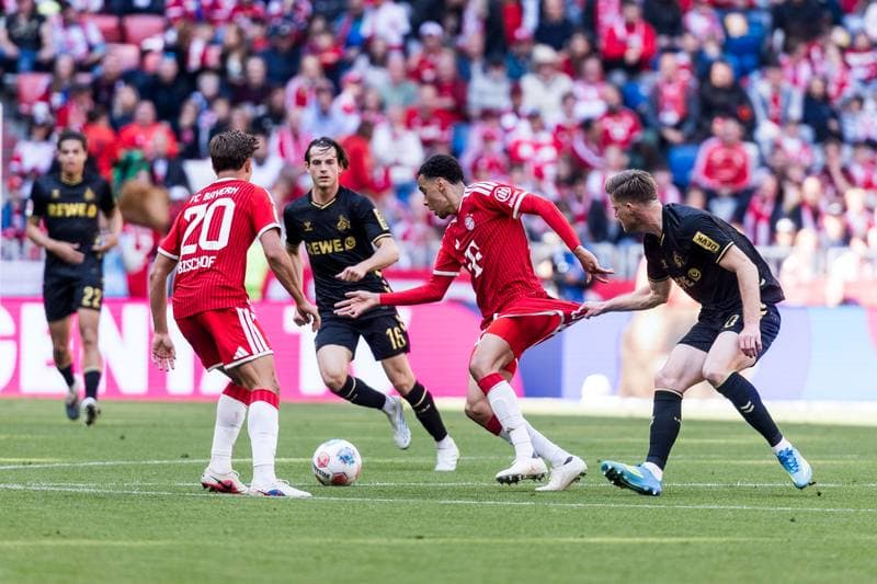 Football. Bundesliga. FC Bayern Munich - 1. FC Koln. 16.05.2026
