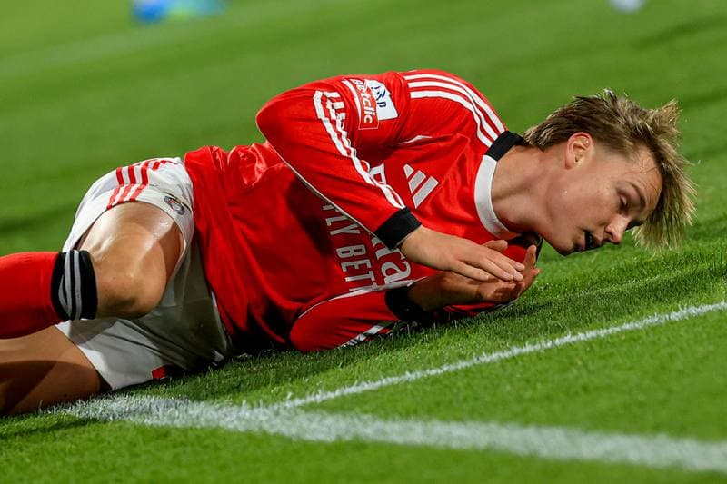 Football. Liga Portugal Betclic. GD Estoril Praia - SL Benfica. 16.05.2026