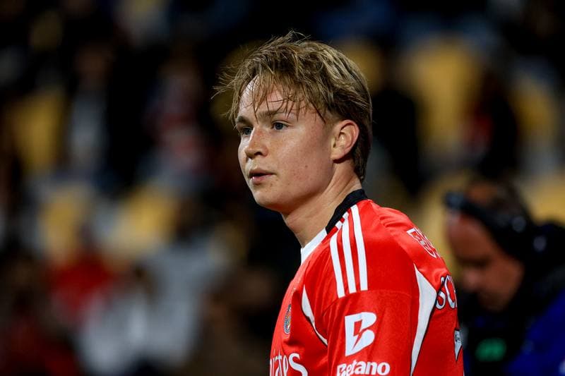 Football. Liga Portugal Betclic. GD Estoril Praia - SL Benfica. 16.05.2026