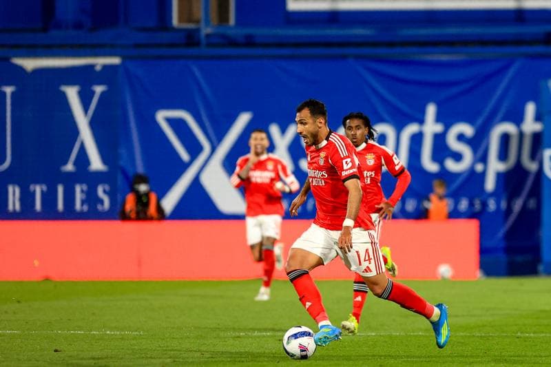 Football. Liga Portugal Betclic. GD Estoril Praia - SL Benfica. 16.05.2026
