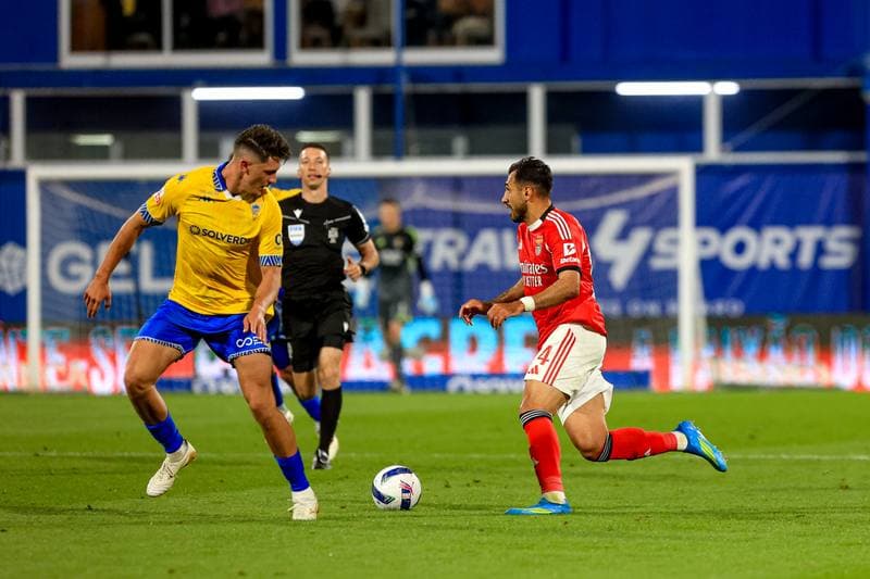 Football. Liga Portugal Betclic. GD Estoril Praia - SL Benfica. 16.05.2026