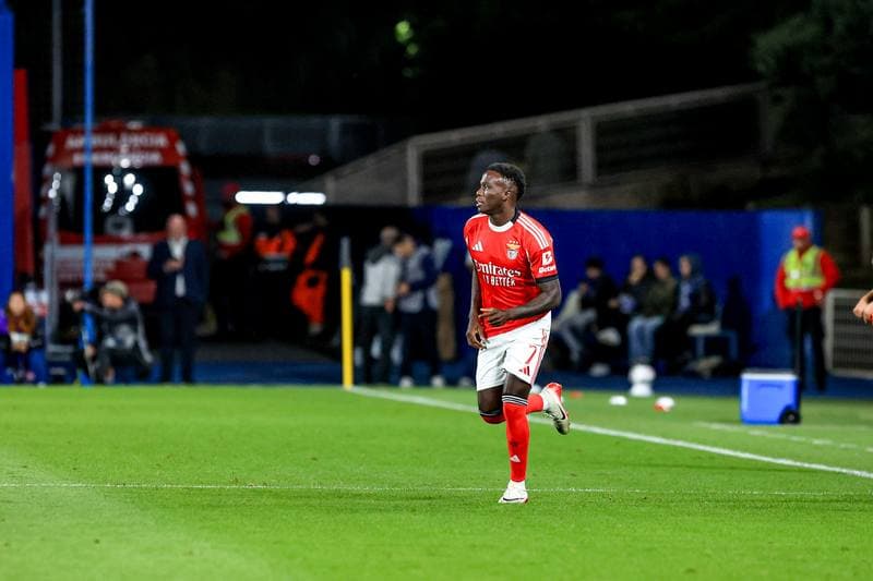Football. Liga Portugal Betclic. GD Estoril Praia - SL Benfica. 16.05.2026
