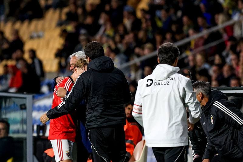 Football. Liga Portugal Betclic. GD Estoril Praia - SL Benfica. 16.05.2026