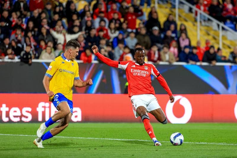 Football. Liga Portugal Betclic. GD Estoril Praia - SL Benfica. 16.05.2026