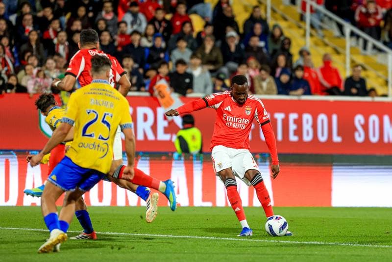 Football. Liga Portugal Betclic. GD Estoril Praia - SL Benfica. 16.05.2026