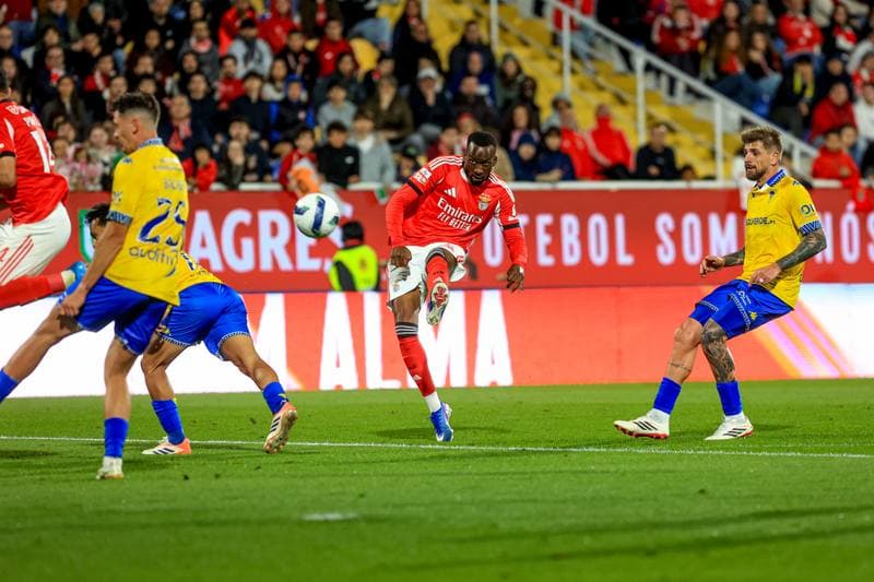 Football. Liga Portugal Betclic. GD Estoril Praia - SL Benfica. 16.05.2026