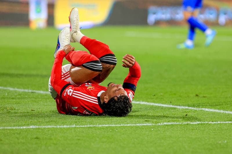 Football. Liga Portugal Betclic. GD Estoril Praia - SL Benfica. 16.05.2026