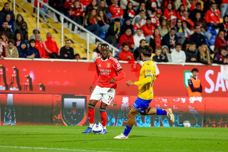Football. Liga Portugal Betclic. GD Estoril Praia - SL Benfica. 16.05.2026