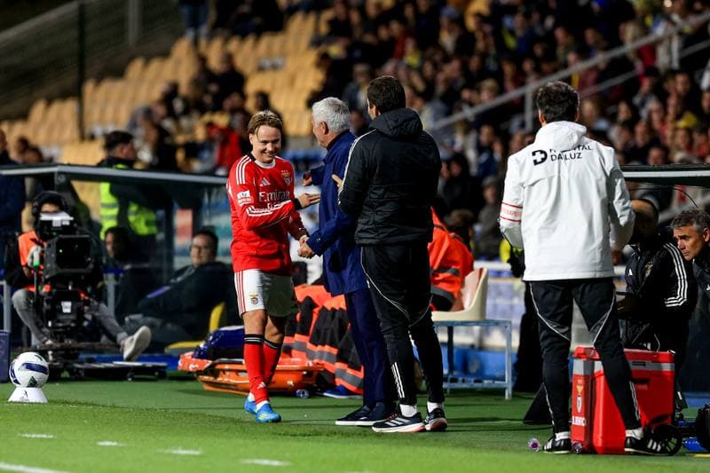 Football. Liga Portugal Betclic. GD Estoril Praia - SL Benfica. 16.05.2026