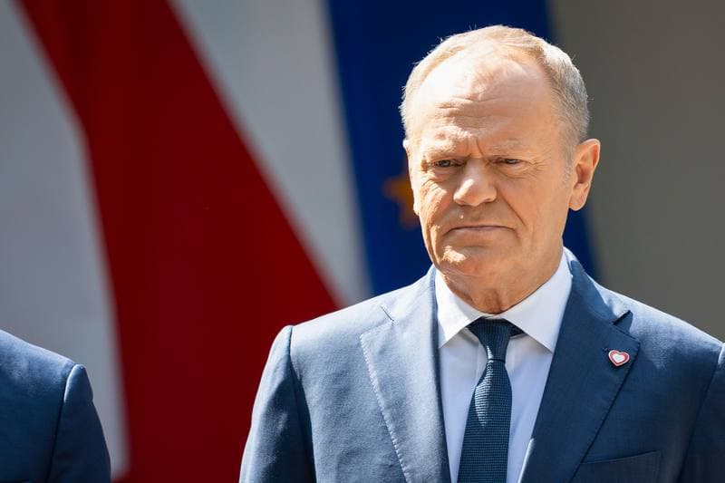 Donald Tusk. Meeting with Hungarian Prime Minister Peter Magyar. 20.05.2026