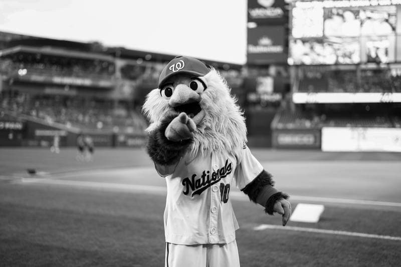 Baseball. MLB. New York Mets - Washington Nationals. 19.05.2026