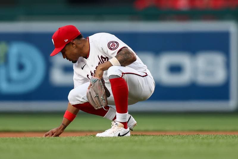 Baseball. MLB. New York Mets - Washington Nationals. 19.05.2026