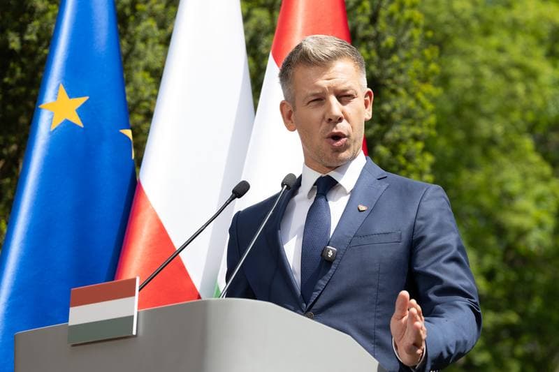 Donald Tusk. Meeting with Peter Magyar. 20.05.2026