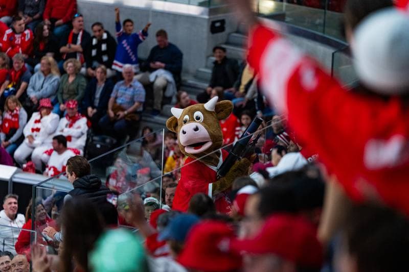 Ice Hockey. IIHF Ice Hockey World Championship. United States - Germany. 20.05.2026