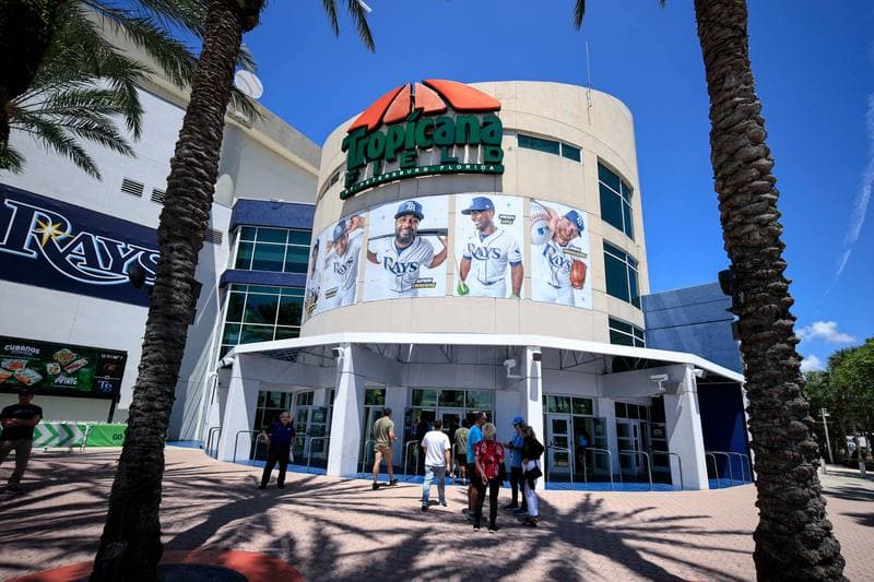 Baseball. MLB. Baltimore Orioles - Tampa Bay Rays. 20.05.2026