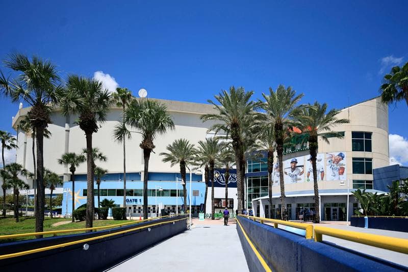 Baseball. MLB. Baltimore Orioles - Tampa Bay Rays. 20.05.2026