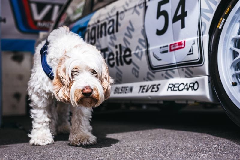 Endurance Racing Legends. Le Mans Classic Series. Day 1. 22.05.2026
