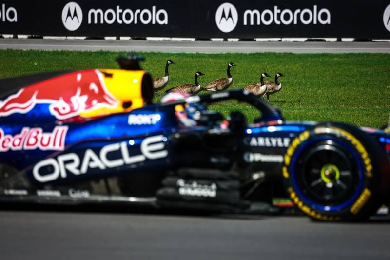 Motorsport. Formula 1. Canadian Grand Prix. 22.05.2026