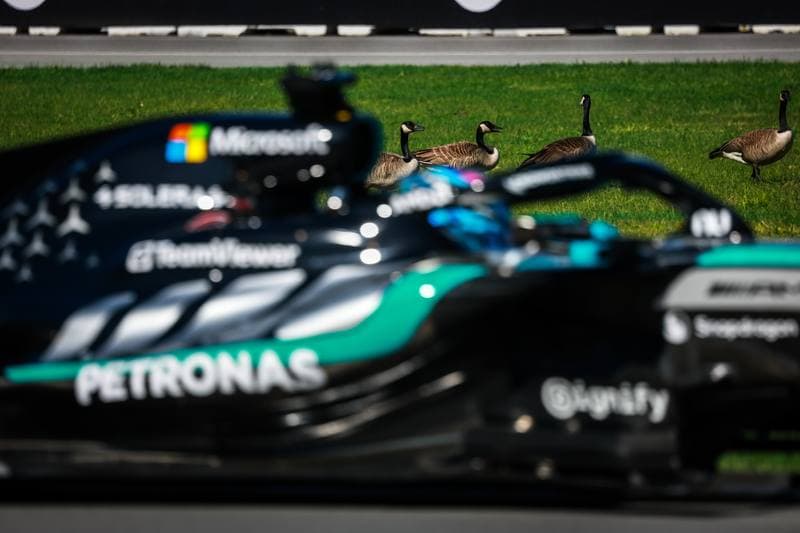 Motorsport. Formula 1. Canadian Grand Prix. 22.05.2026