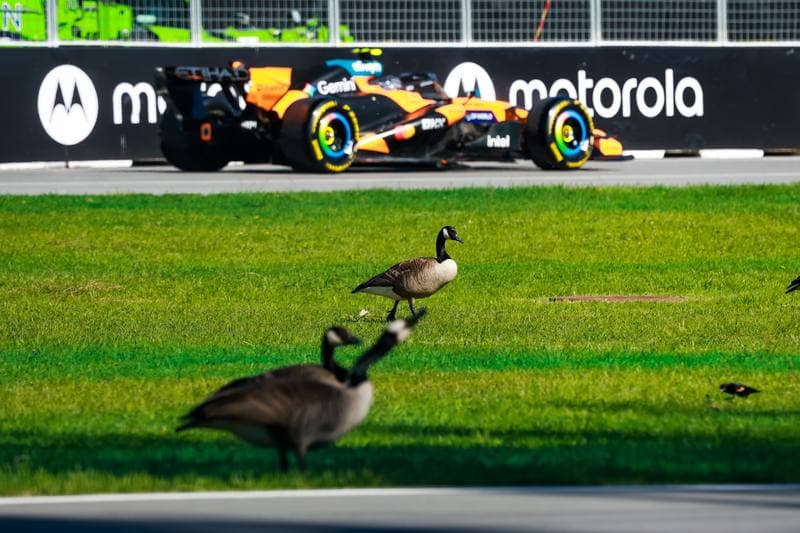 Motorsport. Formula 1. Canadian Grand Prix. 22.05.2026