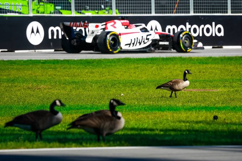 Motorsport. Formula 1. Canadian Grand Prix. 22.05.2026