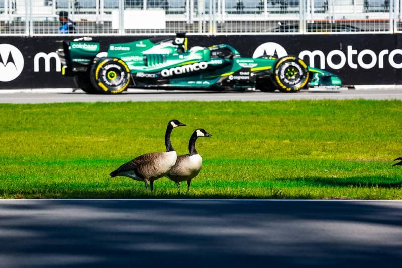 Motorsport. Formula 1. Canadian Grand Prix. 22.05.2026