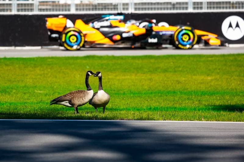 Motorsport. Formula 1. Canadian Grand Prix. 22.05.2026