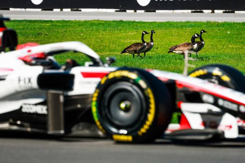 Motorsport. Formula 1. Canadian Grand Prix. 22.05.2026
