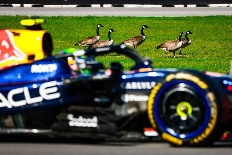 Motorsport. Formula 1. Canadian Grand Prix. 22.05.2026