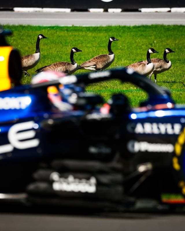 Motorsport. Formula 1. Canadian Grand Prix. 22.05.2026