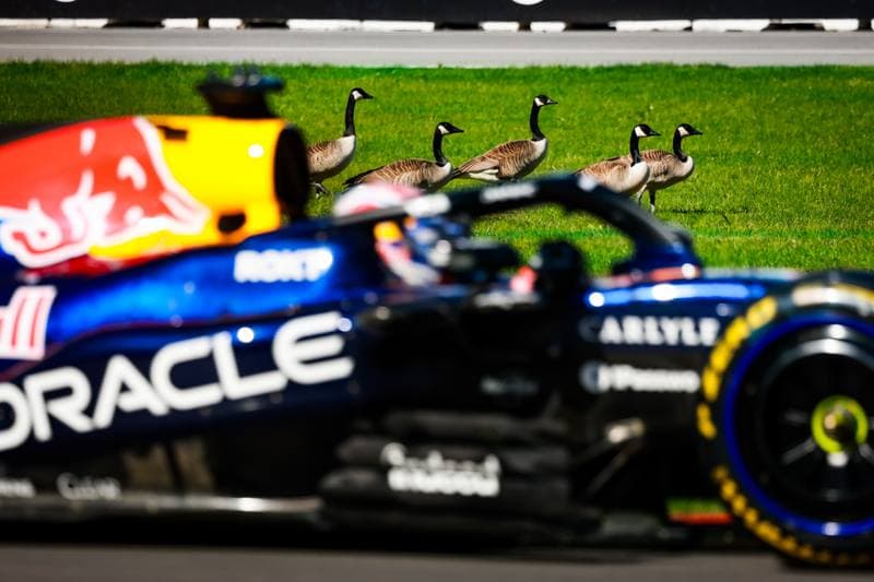 Motorsport. Formula 1. Canadian Grand Prix. 22.05.2026