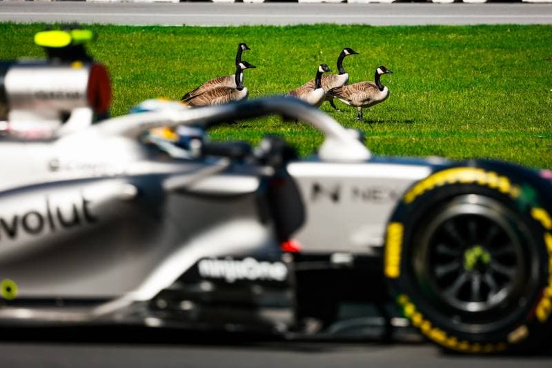 Motorsport. Formula 1. Canadian Grand Prix. 22.05.2026