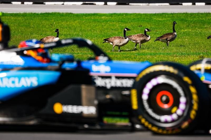 Motorsport. Formula 1. Canadian Grand Prix. 22.05.2026