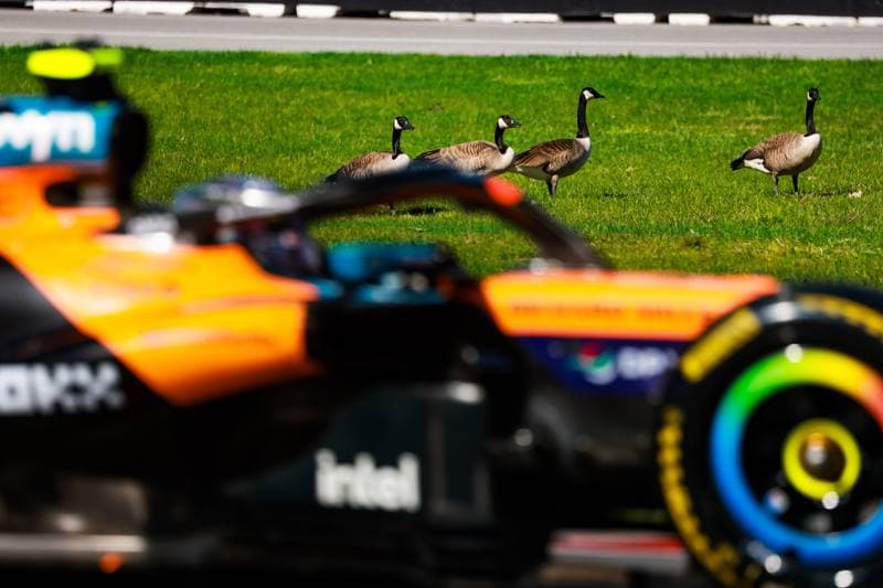 Motorsport. Formula 1. Canadian Grand Prix. 22.05.2026