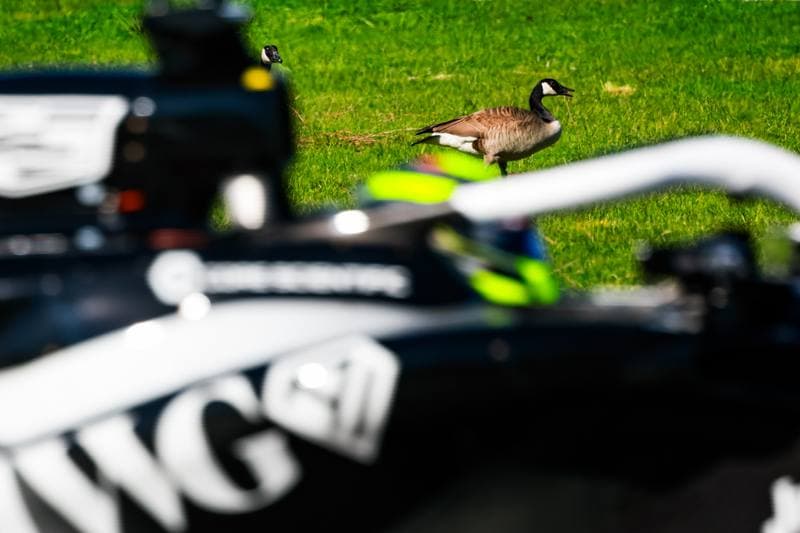 Motorsport. Formula 1. Canadian Grand Prix. 22.05.2026