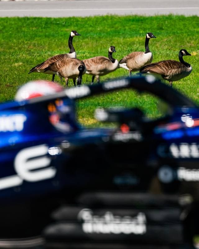 Motorsport. Formula 1. Canadian Grand Prix. 22.05.2026