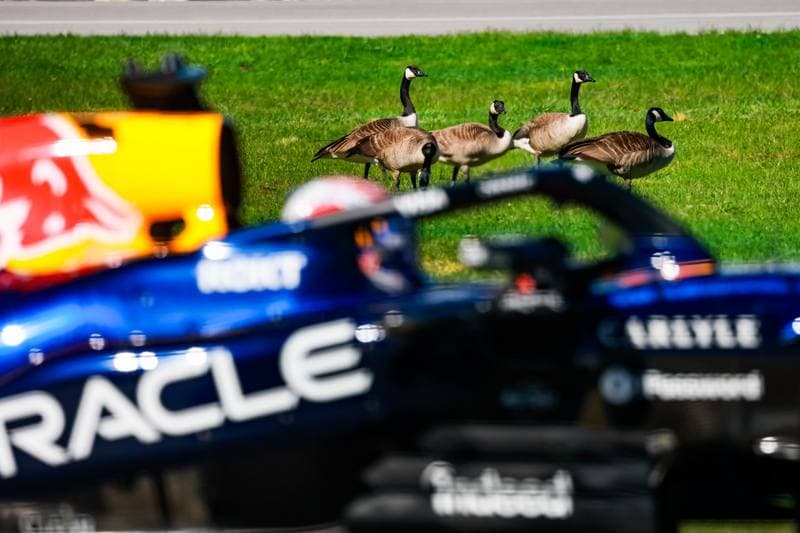 Motorsport. Formula 1. Canadian Grand Prix. 22.05.2026