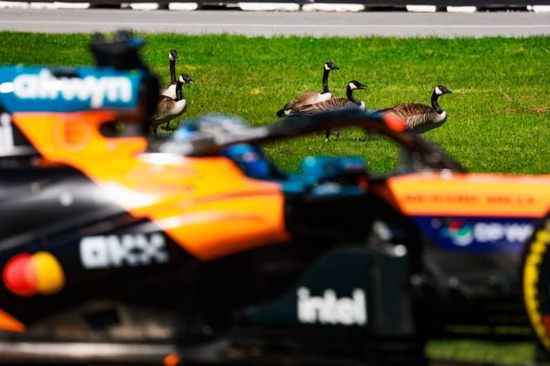 Motorsport. Formula 1. Canadian Grand Prix. 22.05.2026