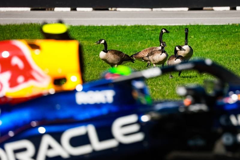Motorsport. Formula 1. Canadian Grand Prix. 22.05.2026
