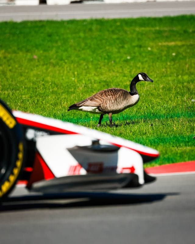 Motorsport. Formula 1. Canadian Grand Prix. 22.05.2026