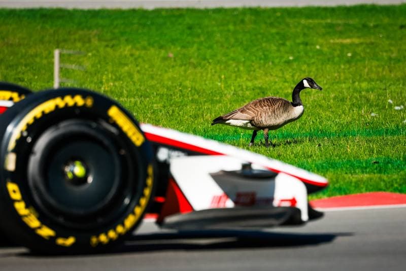 Motorsport. Formula 1. Canadian Grand Prix. 22.05.2026